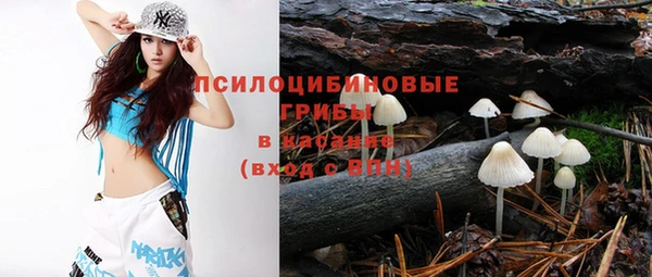 apvp Арсеньев