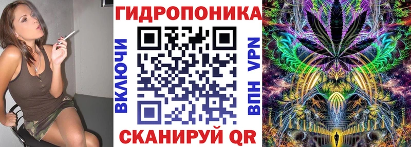 Бошки Шишки гибрид  Моршанск 